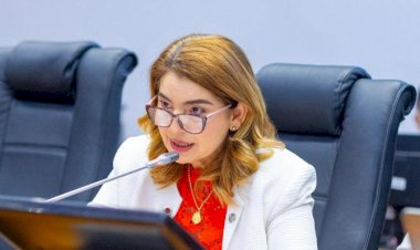 Iracema Vale apresenta PL que prevê classificação de estâncias e municípios de interesse turístico